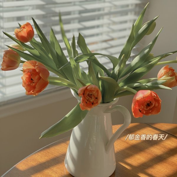晒货图片