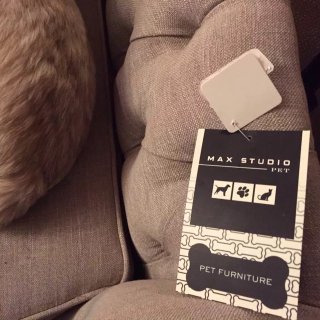 Max Studio