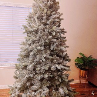 华丽变身的圣诞树🎄｜成本只要4$👍...
