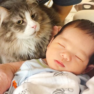 💗宝宝和猫猫的N个有爱瞬间💗...
