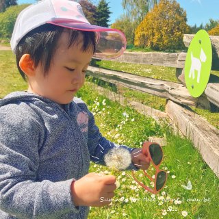 加拿大亲子游｜第二站🇨🇦温哥华斯坦利公园...
