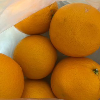 水果季超好价～健康美味富士苹果🍎&加州橙...