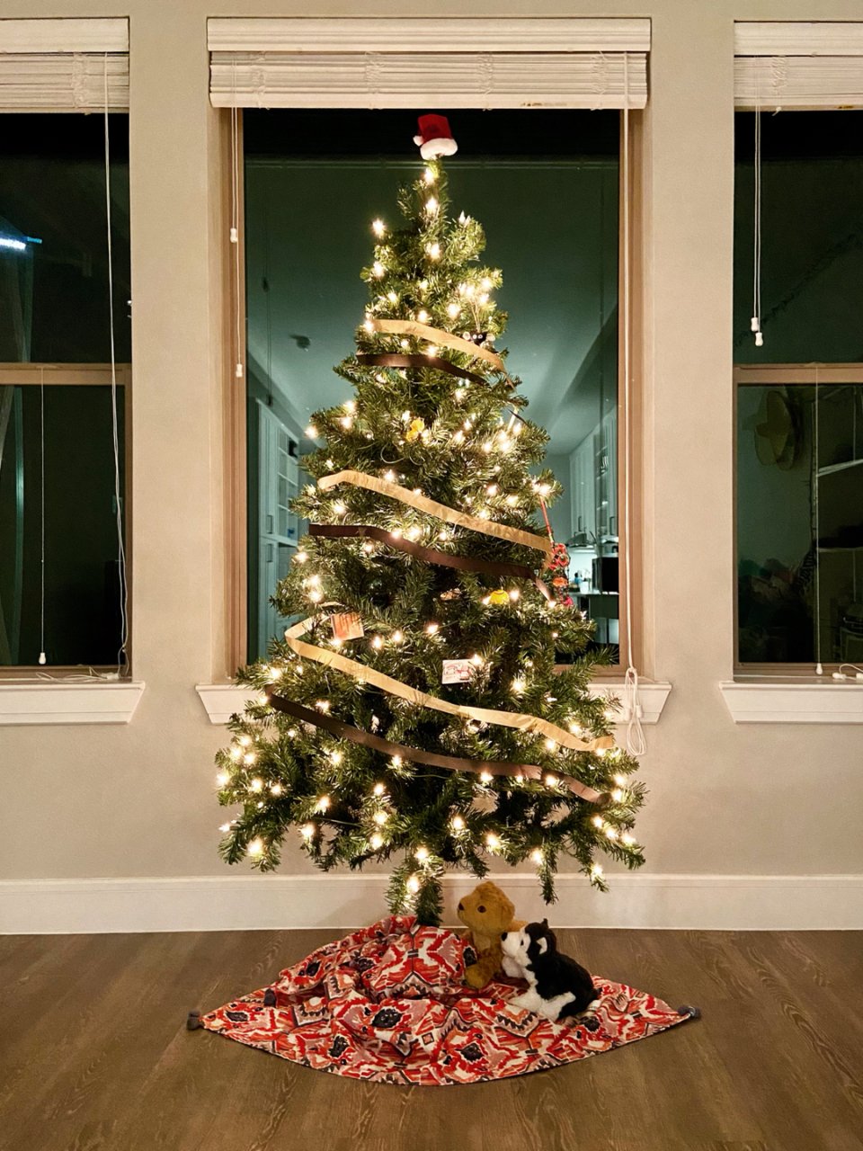 🎄今年有一棵圣诞树啦🥳...