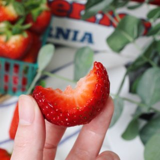 又是一年草莓🍓季...