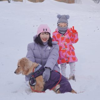 -20度出门给狗狗拍的雪地照片🌲...
