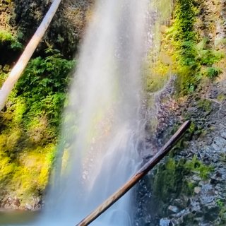 湾区➡️西雅图12｜登顶 俄勒冈最高的瀑...