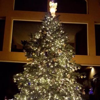 一颗圣诞树🎄的华丽转身...