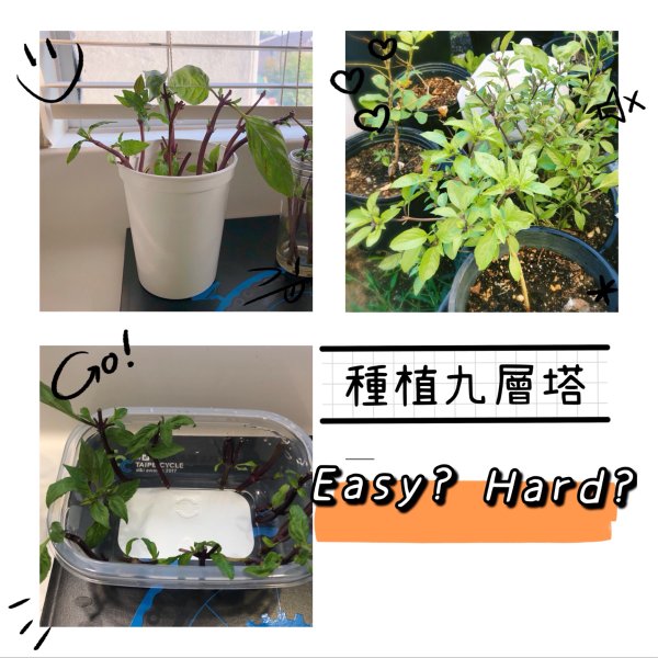 晒货图片