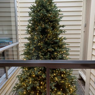 一棵树装扮起浓浓圣诞气氛...