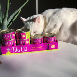 Tiki Cat猫罐