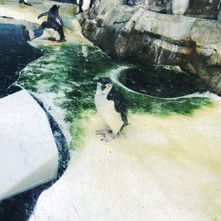 走！—动物园走起室内馆...