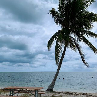 漫游 | FL | 西礁岛 1️⃣...