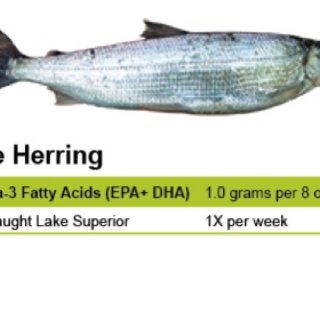 烟熏鲱鱼🐟smoked herring ...