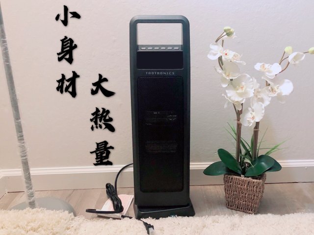 小身材，大热量 | Tao Tro...