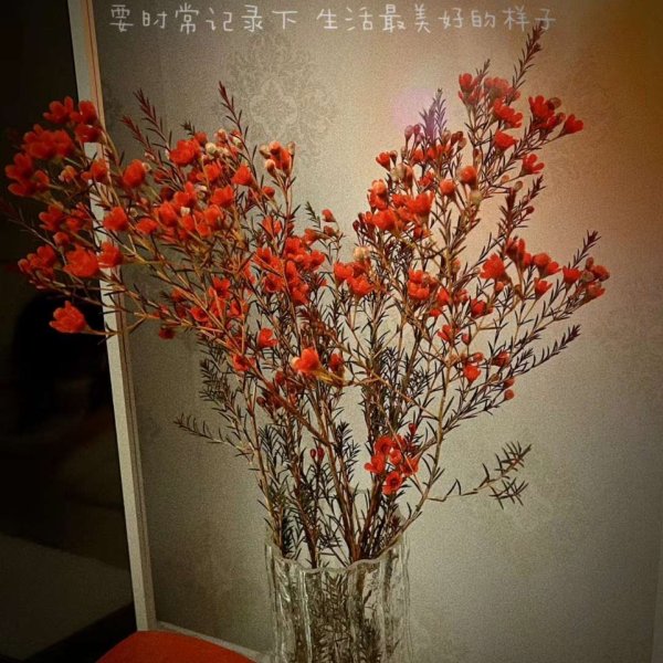 晒货图片