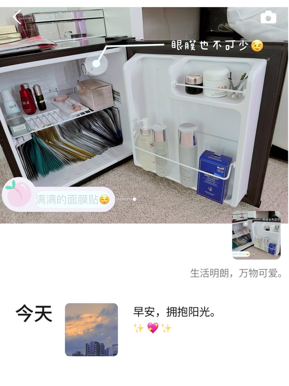 SK-II SKII,Shiseido 资生堂,SNP,NUskin,La Mer 海蓝之谜