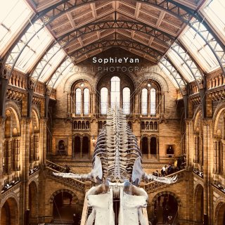伦敦博物馆 | 自然历史博物馆超级美...