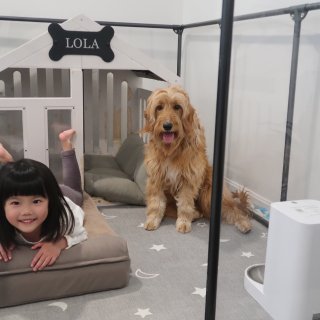 【Lola 的新床】喜临门可拆洗Dog ...