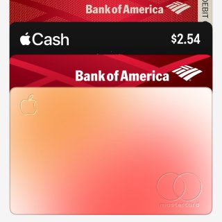 钛合金苹果信用卡Apple Card...