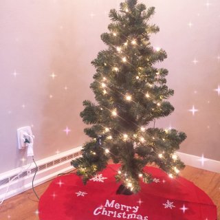 聖誕樹🎄