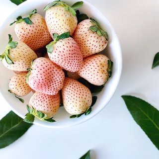 Pink-A-Boo | 🍍菠萝味的草莓...