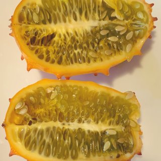 非洲黄瓜 horned melon...