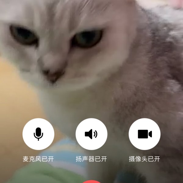 晒货图片