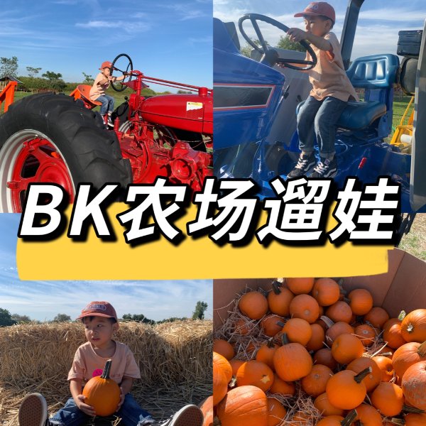 晒货图片