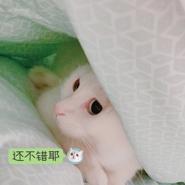 晒货图片
