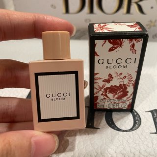 Gucci Q香