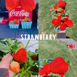 Strawberry Picking🍓🍓...