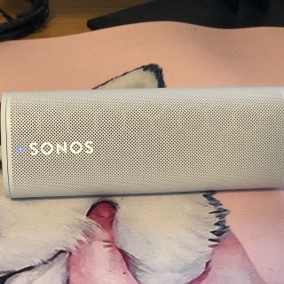 Roam: A Portable Waterproof Smart Speaker | Sonos