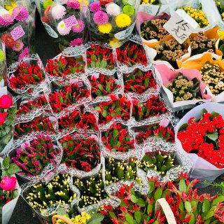 清明时节逛上海市区内唯一的花鸟市场...