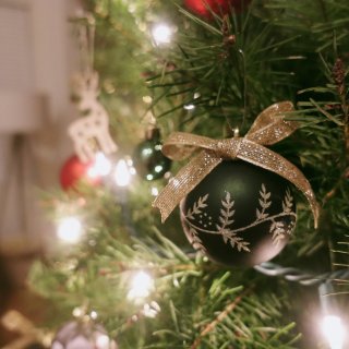 從Costco買了顆”真的聖誕樹”回家🎄...