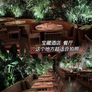 【纽约】藏在森林里的秘鲁餐厅🌳浪漫有情调...