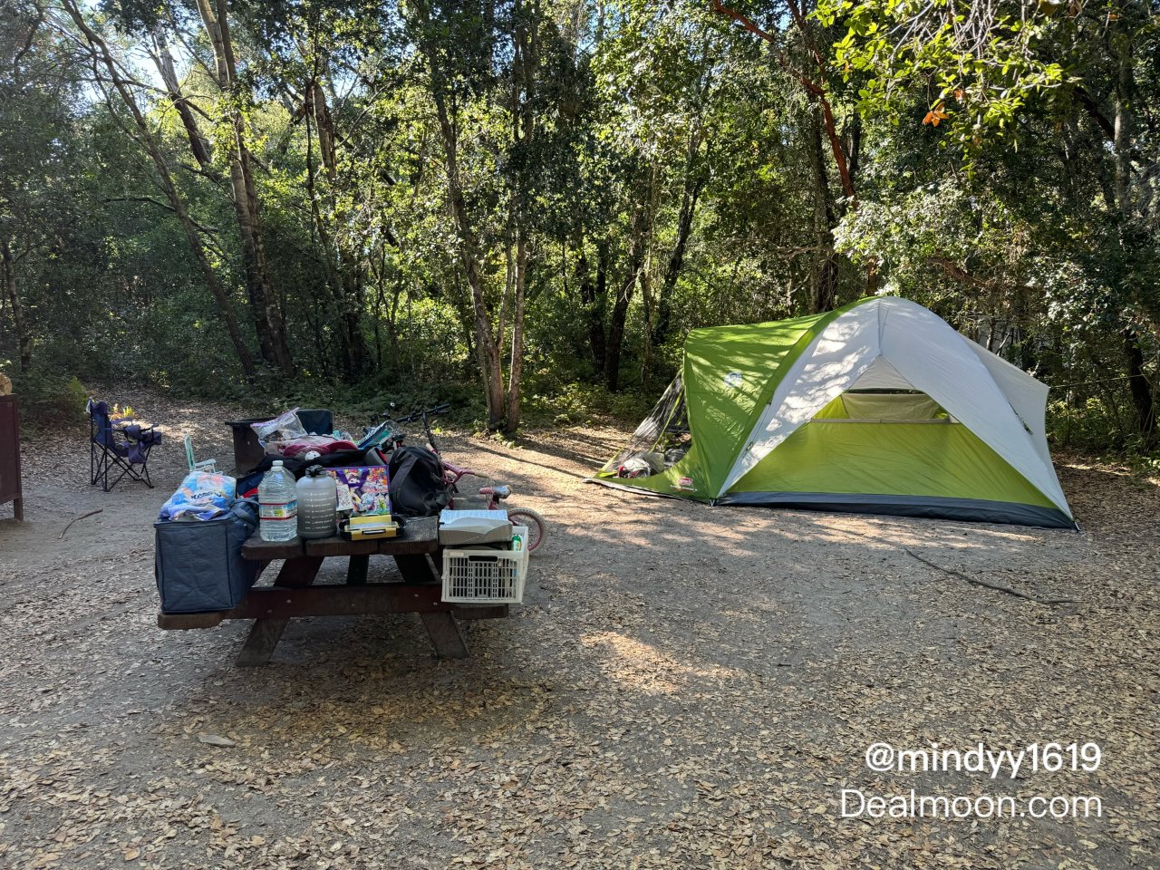 湾区露营🏕Henry Cowell St...