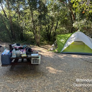 湾区露营🏕Henry Cowell St...