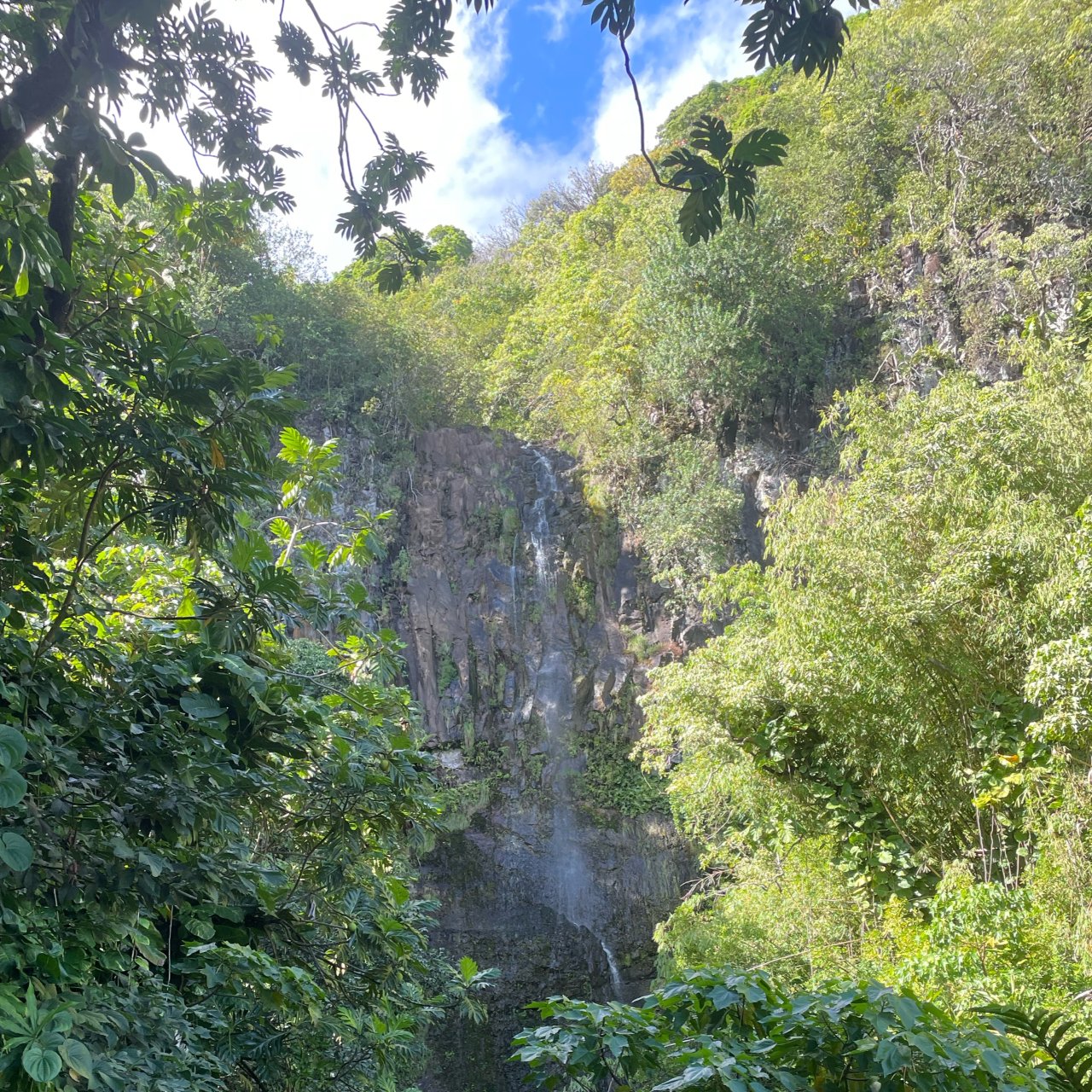 进山吸氧