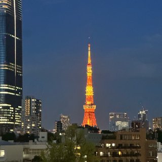 Tokyo 美食之都，太幸福了啊🥰...