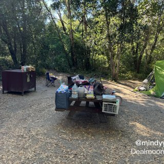 湾区露营🏕Henry Cowell St...