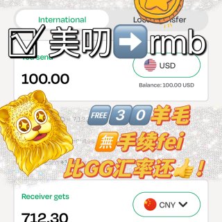 🇺🇸美dao秒➡️rmb｜🈚️手续💰
...