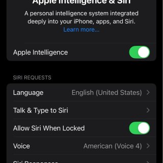 试玩AI（Apple Intellige...