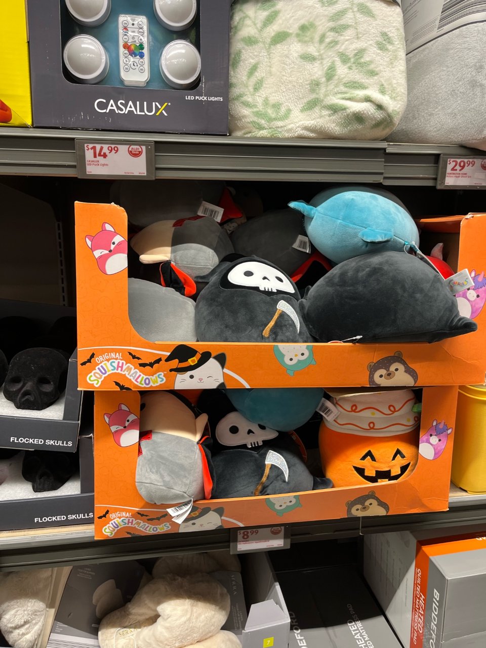 Aldi｜万圣节👻🎃...