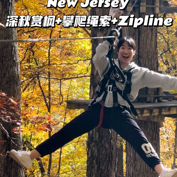 笔记图片