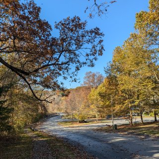 房前屋后，处处秋色🍂！...