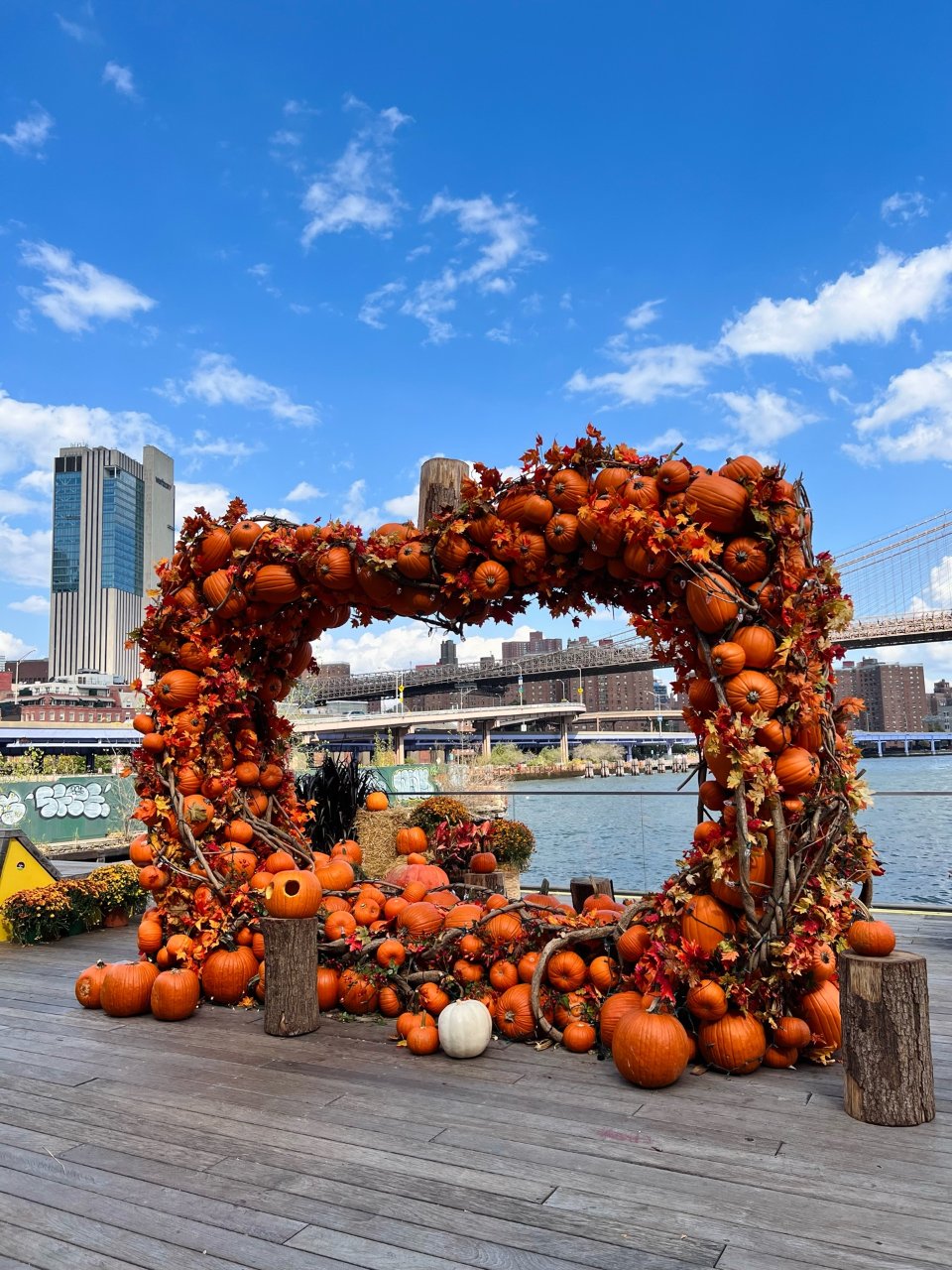 Pier 17 码头🎃墙...