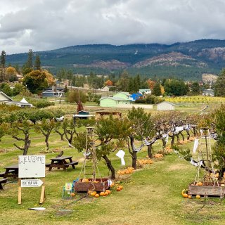 温哥华周边 | 基洛纳Penticton...