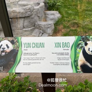 【San Diego Zoo】一日游精华...