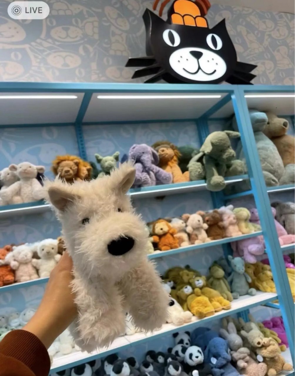 Jellycat 邦尼兔