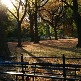 秋天的Central Park 🍂...